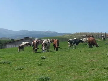 Fattoria Biò Pastorizia