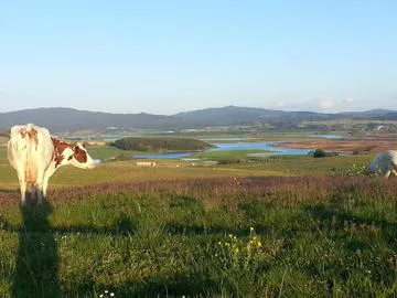 Fattoria Biò